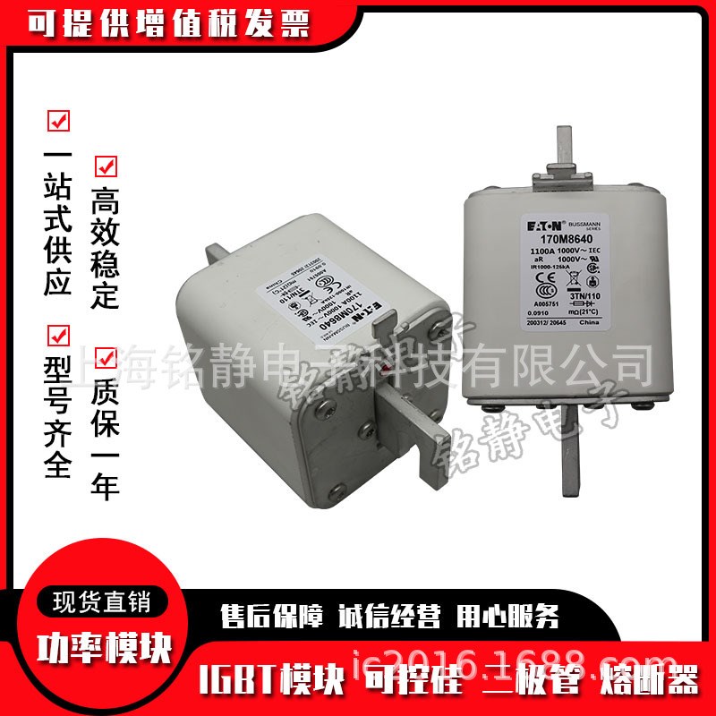 170M8610 170M8611 170M8612保险丝170M8613巴斯曼熔断器