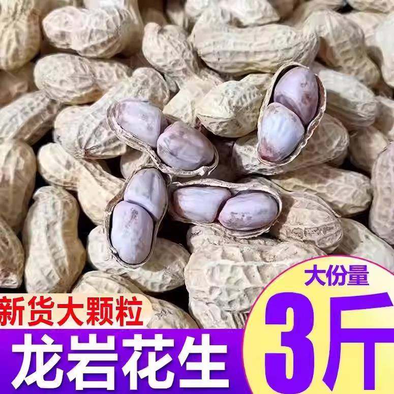 新龙岩花生水煮花生自然白晒500g袋装原味盐水咸干带壳花生零食品,零食/坚果/特产,花生,淘宝优惠券,粉丝福利购,淘宝优惠卷