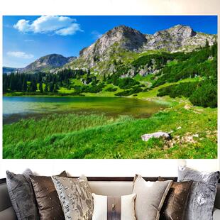 湖泊山水画高山蓝天湖水草地森林树木客厅办公室背景墙自粘装饰画