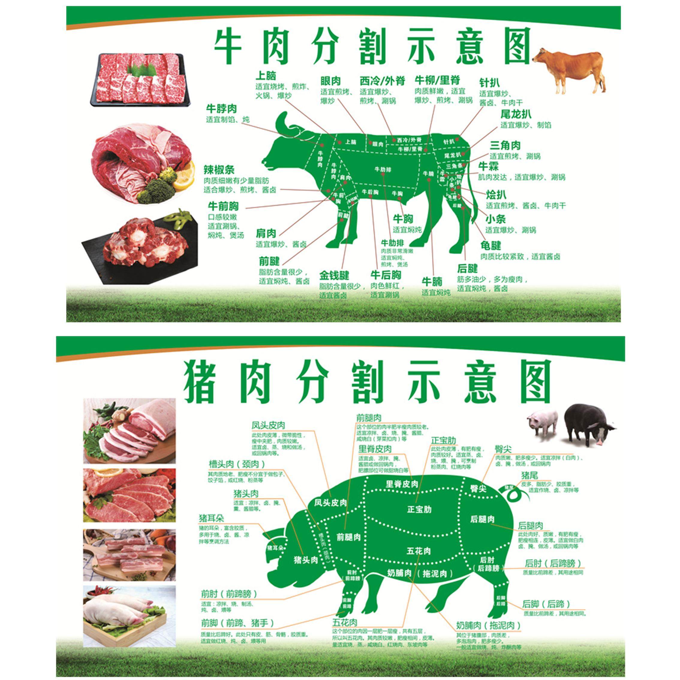 超市牛排分割图设计定制牛肉店牛肉分解图部位图贴画户外背胶贴纸