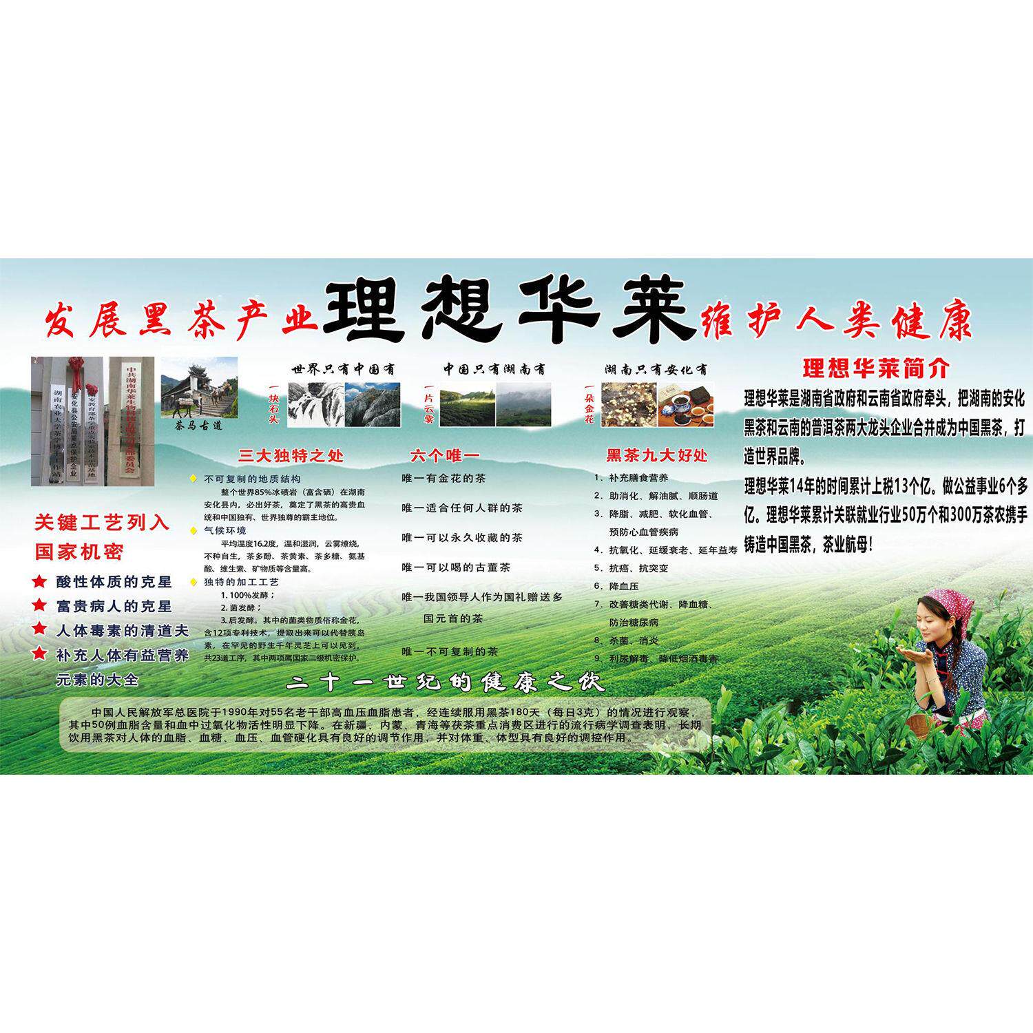 中国六大茶系海报展板安化黑茶独特的地理环境黑茶产业园墙贴纸