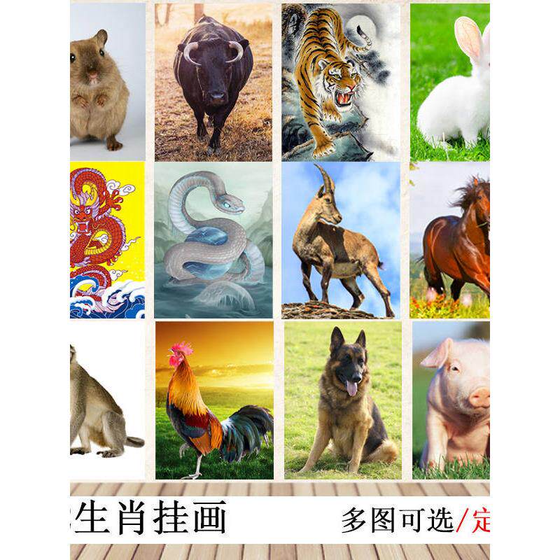 12生肖挂画十二生肖装饰挂图鼠牛虎兔龙蛇马羊猴鸡狗猪贴墙画海报