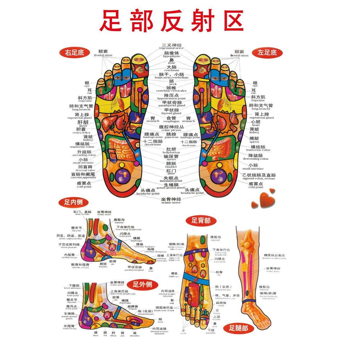 足部反射穴位图养生美容院足底按摩海报足疗的十大好处脚底穴位图