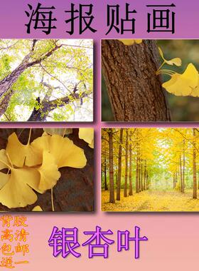 银杏叶海报贴画风景唯美黄色秋天室内大幅自粘来图定制免打孔背胶