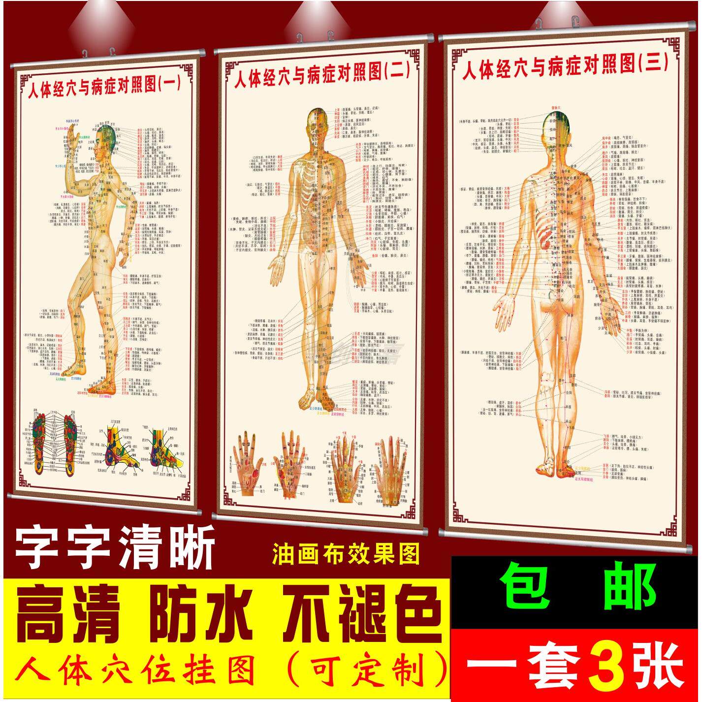 人体经络针灸推拿穴位男女全息标准高清中医文经穴与病症对照挂图