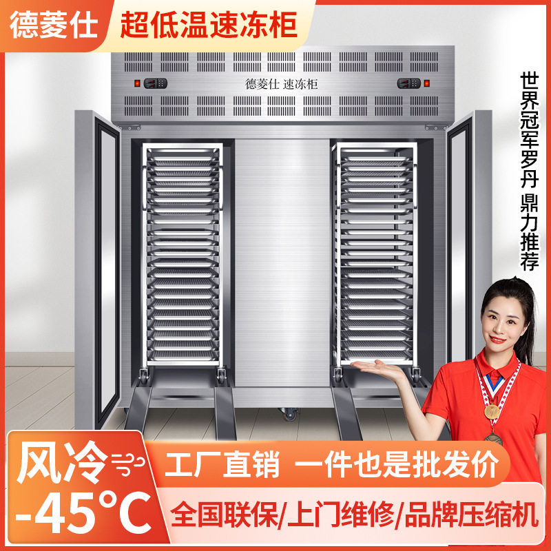 定制商用小型速冻柜饺子海参面团包子急冻柜低温鲜牛肉鲜虾冷冻柜