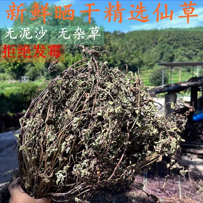 高胶仙草干仙草冻黑凉粉草粿草汁正宗草龟苓膏烧仙草草干