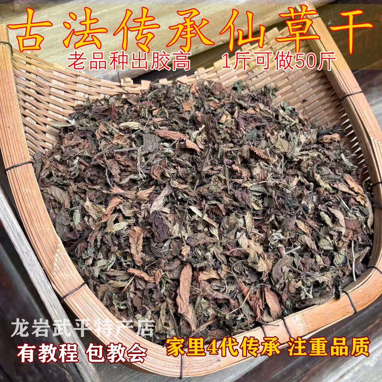 福建高胶仙草烧仙草草粿草