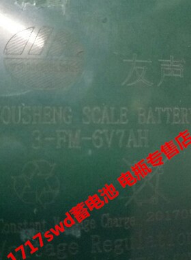 YOUSHENG友声蓄电池 3-FM-6V7AH 6V7AH 玩具车 电子称 台秤用电瓶