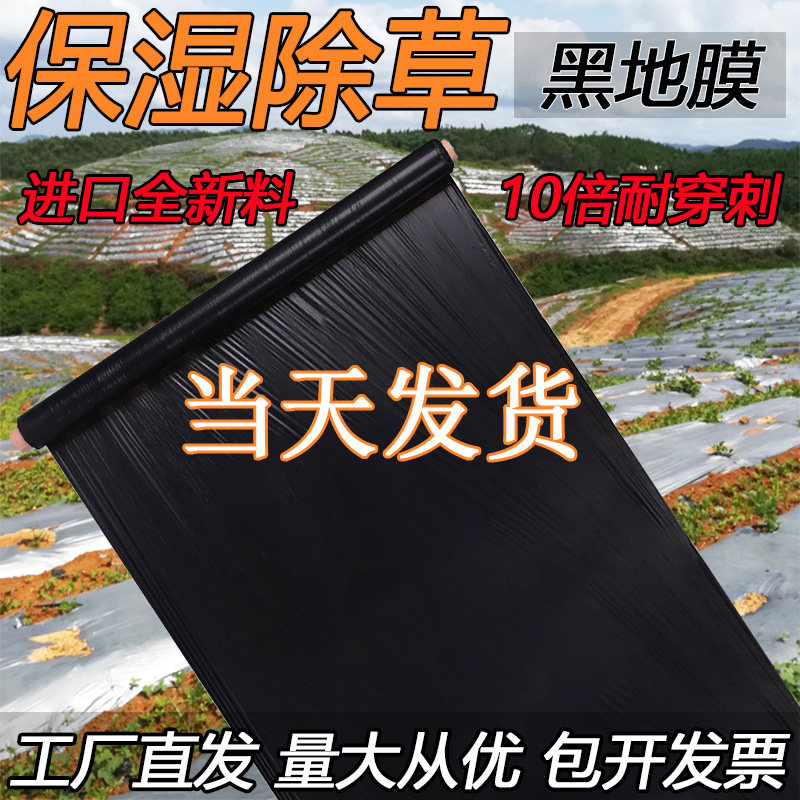 农用加厚黑色地膜l除草膜薄膜果树果园蔬菜大棚草莓专用银黑地膜