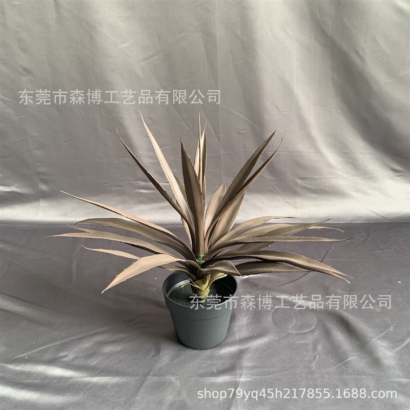仿真装饰绿植盆栽剑麻剑兰植物沙漠多肉芦荟虎皮兰Y落地造景热带