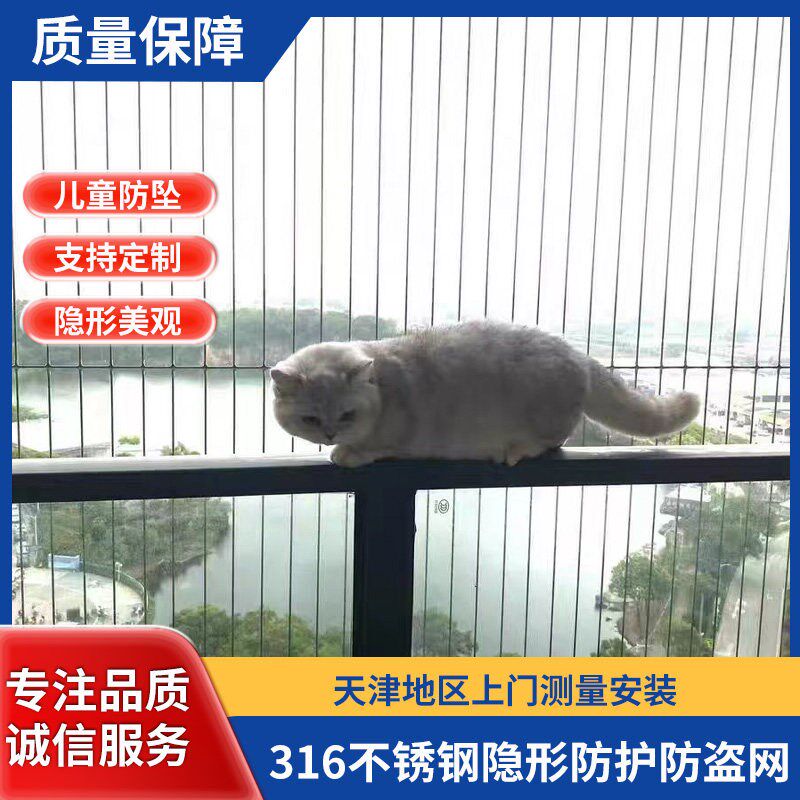 天津阳台隐形防盗网高层防猫窗户露台楼梯台安全防盗窗不锈钢护栏
