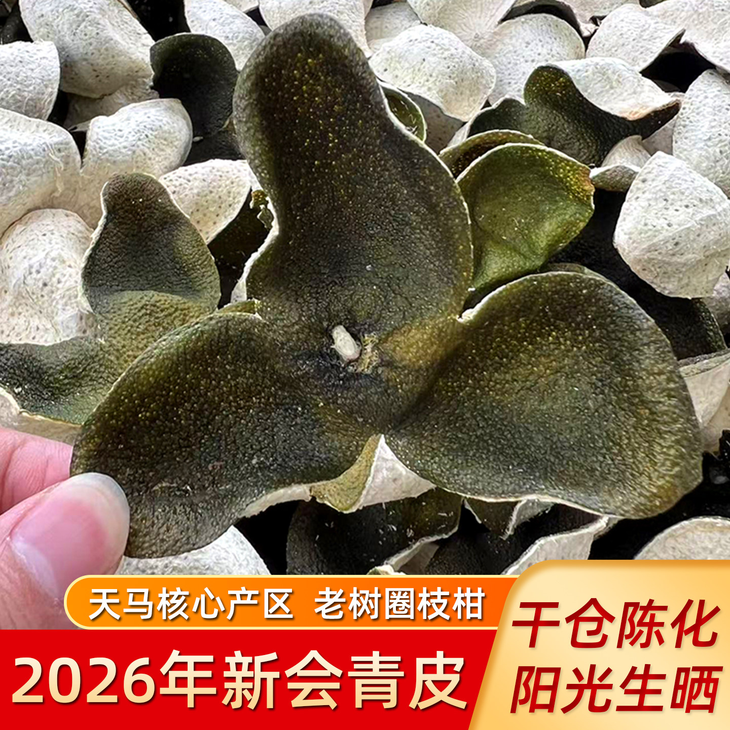 2026年新会天马青皮官方旗舰店