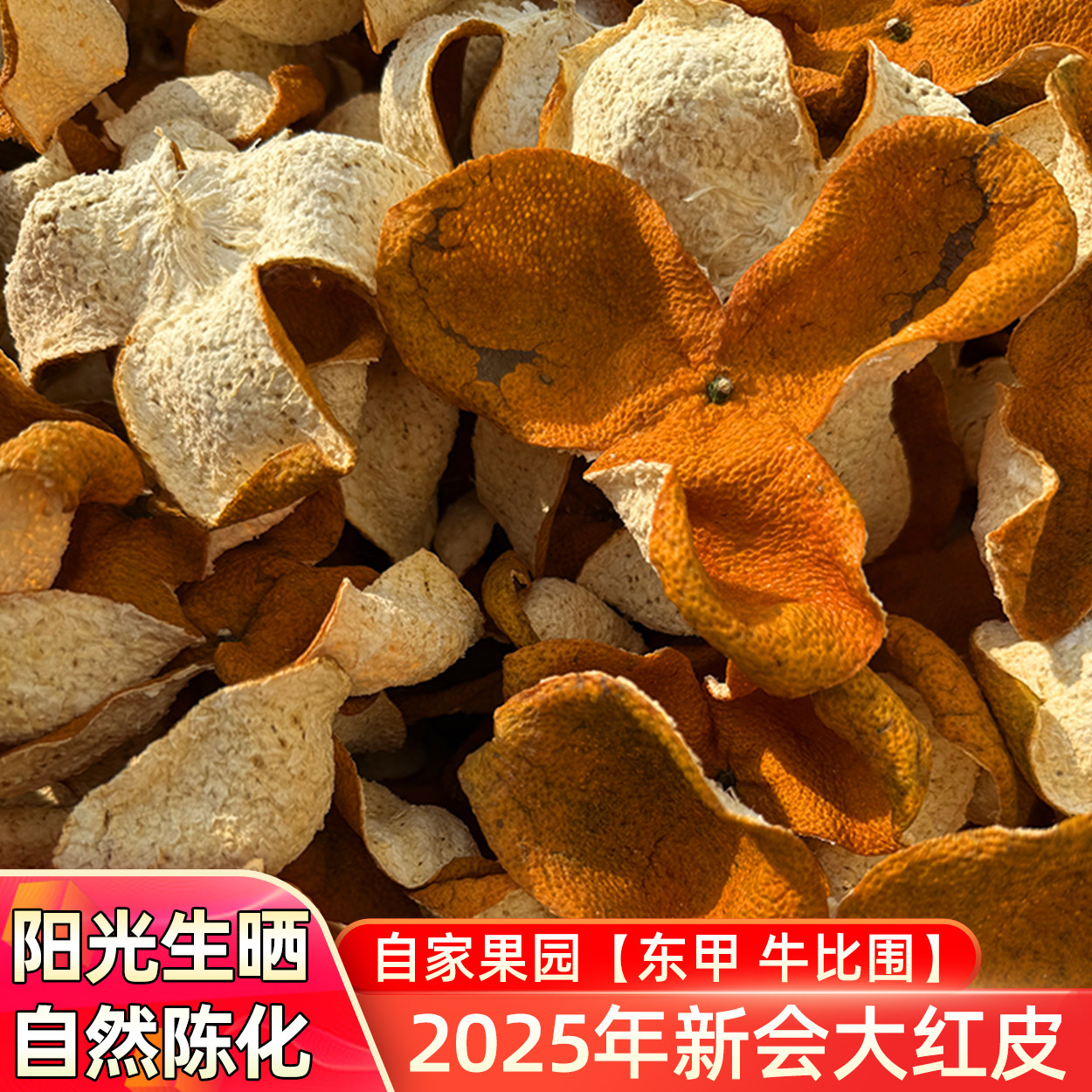 2025年新会东甲大红皮老树圈枝广东新会陈皮新鲜茶枝柑官方旗舰店