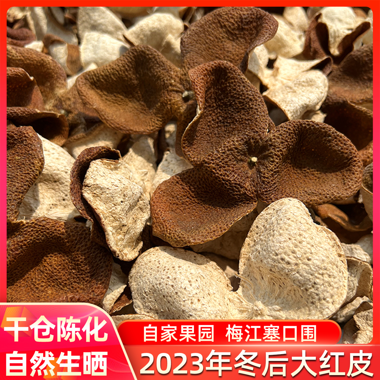 2023年新会梅江圈枝冬后大红皮