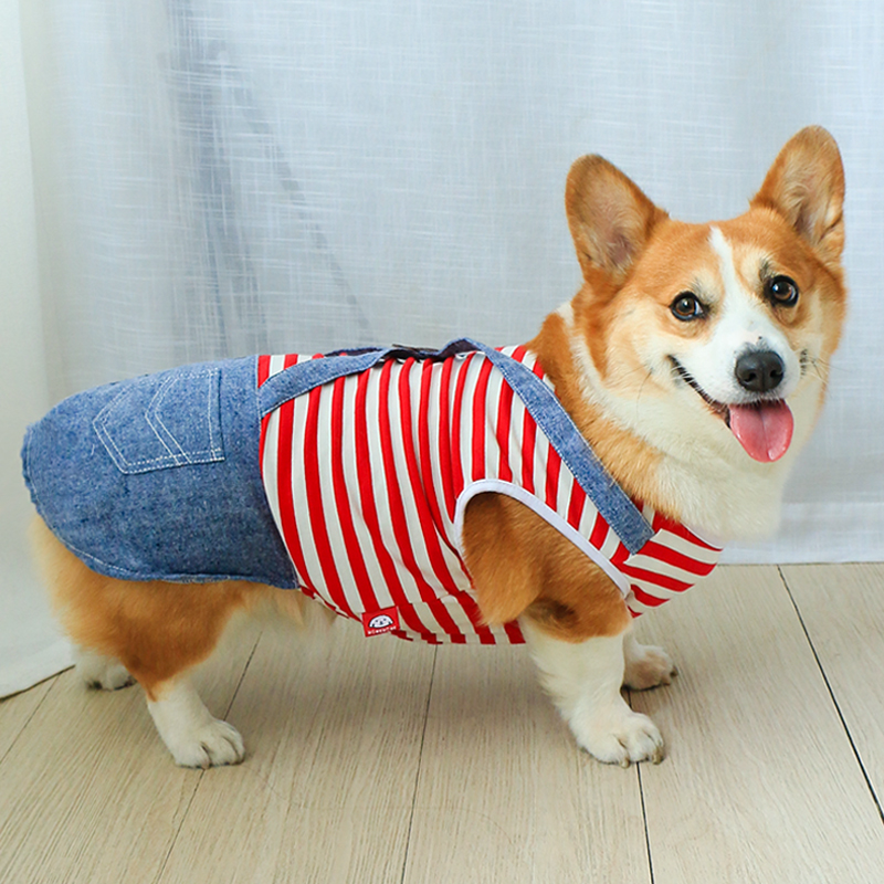狗狗衣服冬季秋装秋季春秋款冬柯基泰迪幼犬中型犬小型犬宠物秋冬