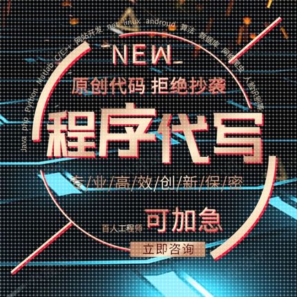 JAVA代码编写计算机程序php设计python代编程C#开发C++代做c语言R