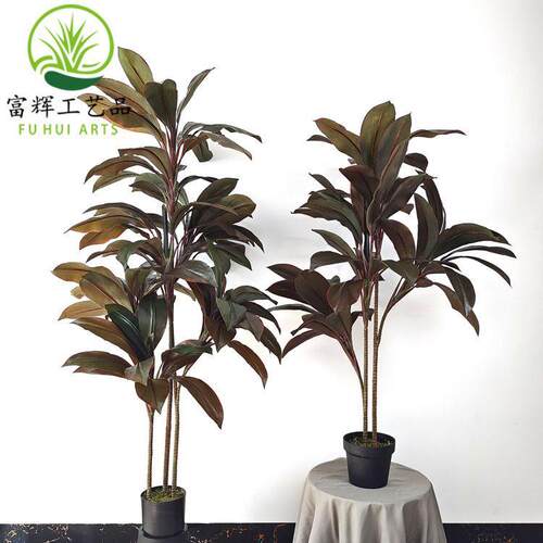 仿真朱蕉秋红铁绿植盆栽组合造景仿真树装饰道具摆件