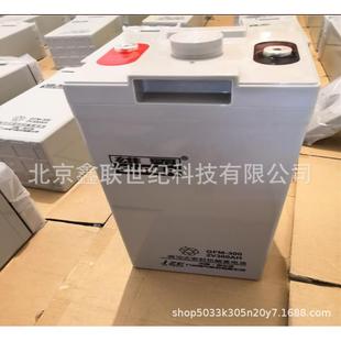 100AH现货含税 九洲蓄电池2V 哈尔滨雄霸蓄电池GFM 100