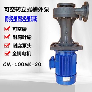 槽外泵 100SK 20可空轉(zhuǎn)耐酸堿立式 耐腐蝕工業(yè)蝕刻線化工電鍍泵