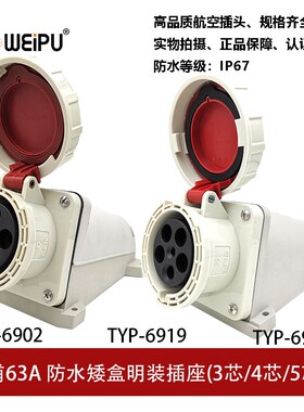 TYP6902-6919-6924插座明装63A3P4芯5P防水连接器IP67威浦工业插