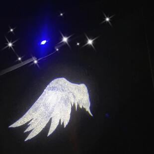 堕落天使之翼翅膀车门迎宾灯 充电式 汽车开门灯投影照地感应灯