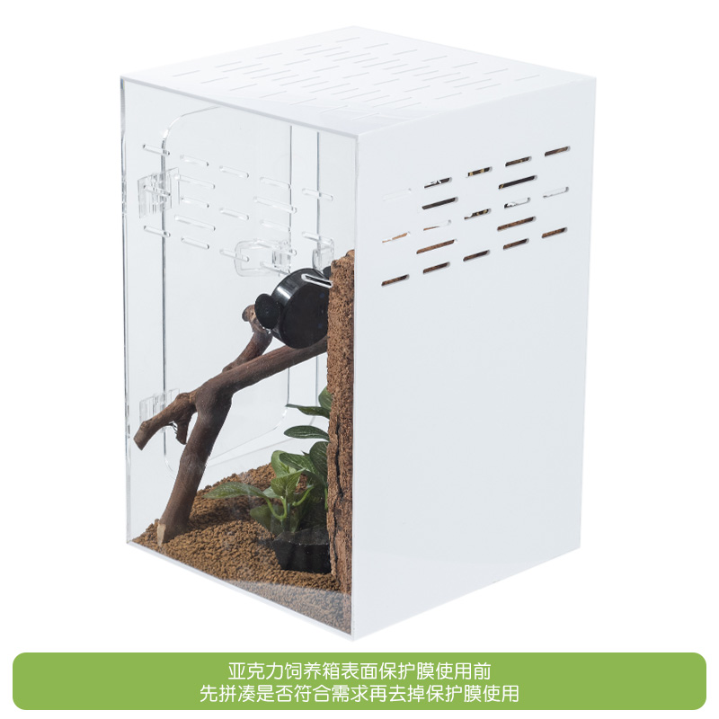 睫角守宫亚克力饲养箱姥爷树蛙树栖高箱造景爬虫蜘蛛R属生态箱