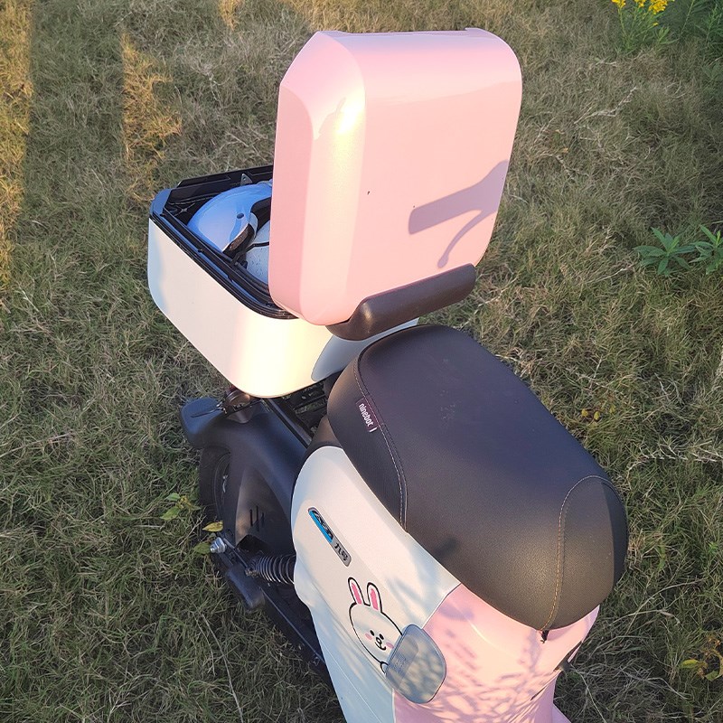 九号A2Z35C/A2Z40/A2Z90/A30C+/A35+/A60+/A80+电动车后备箱尾箱