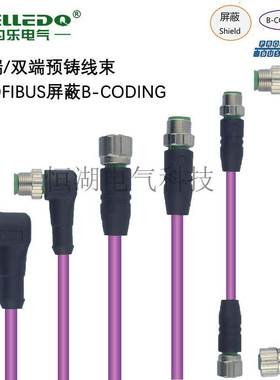 VELLEDQ为乐电气M12单双端预铸协议线PROFIBUS屏蔽B扣2芯带线定制