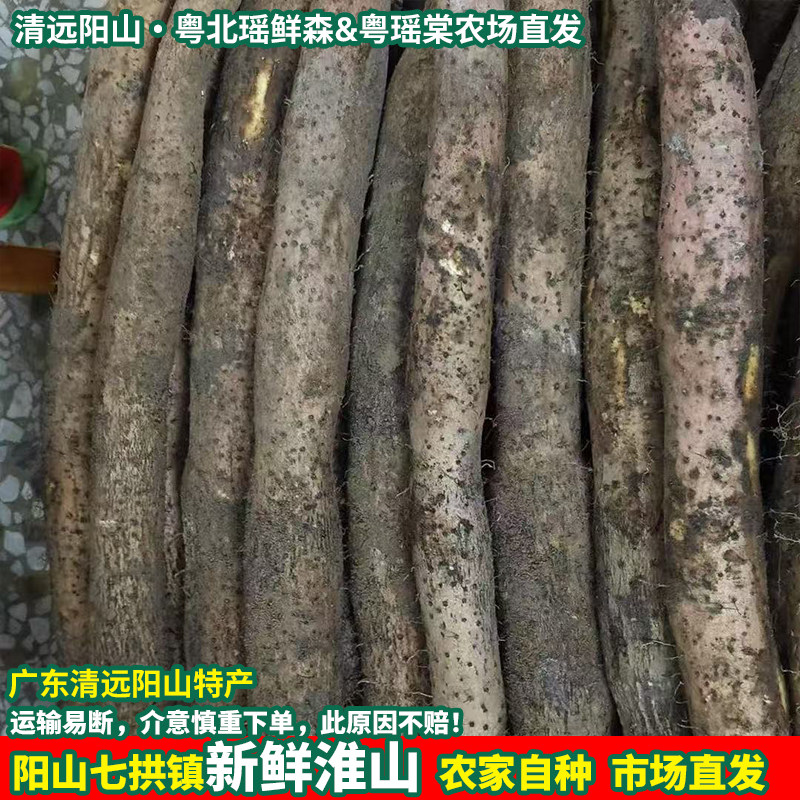清远阳山新鲜淮山山药纯山药新鲜粉糯深山药老山薯怀山土淮山广东