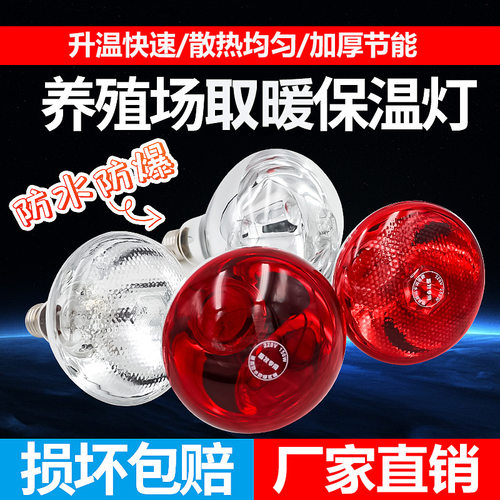 200w175w养殖场保温灯泡仔猪取暖