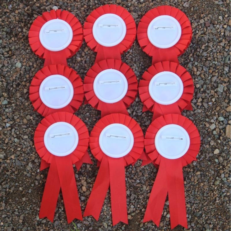 表达之星胸章大号学校奖励胸牌