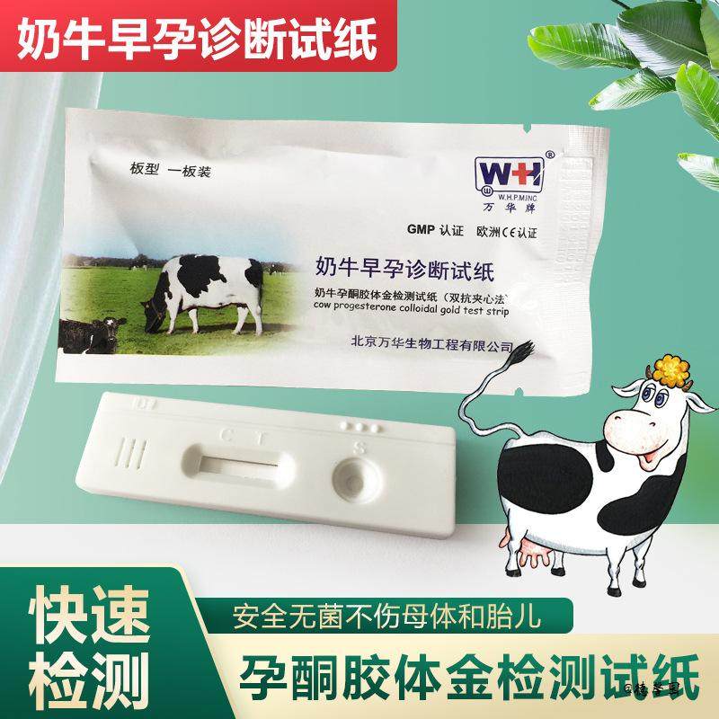 怀孕测试剂牛用单独包装快速奶牛养殖设备测孕纸猪用测孕工具猪场,居家日用,其它,淘宝优惠券,粉丝福利购,淘宝优惠卷