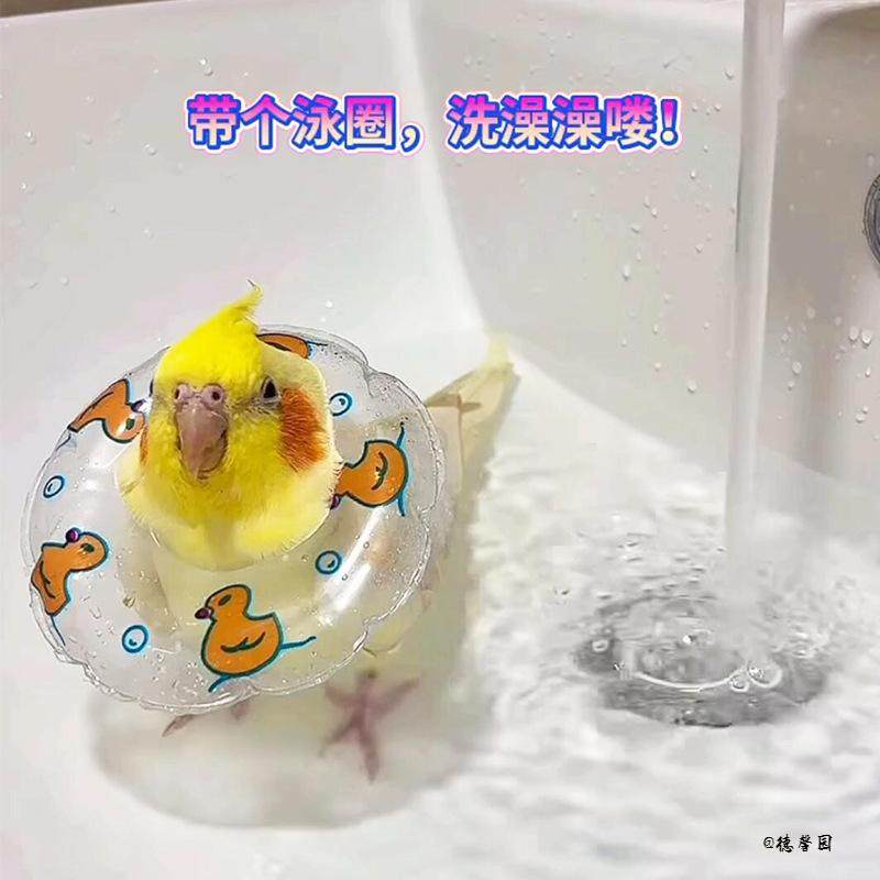 乌龟泳圈道具拍摄洗澡装饰解闷小宠物用解压鹦鹉游泳圈小鸟玩具,玩具/童车/益智/积木/模型,其它玩具,淘宝优惠券,粉丝福利购,淘宝优惠卷