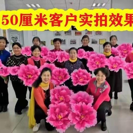 手花表演幼儿园舞蹈手拿花手拿花跳舞表演小学道具花花朵演出道具,节庆用品/礼品,堵门/游戏道具,淘宝优惠券,粉丝福利购,淘宝优惠卷