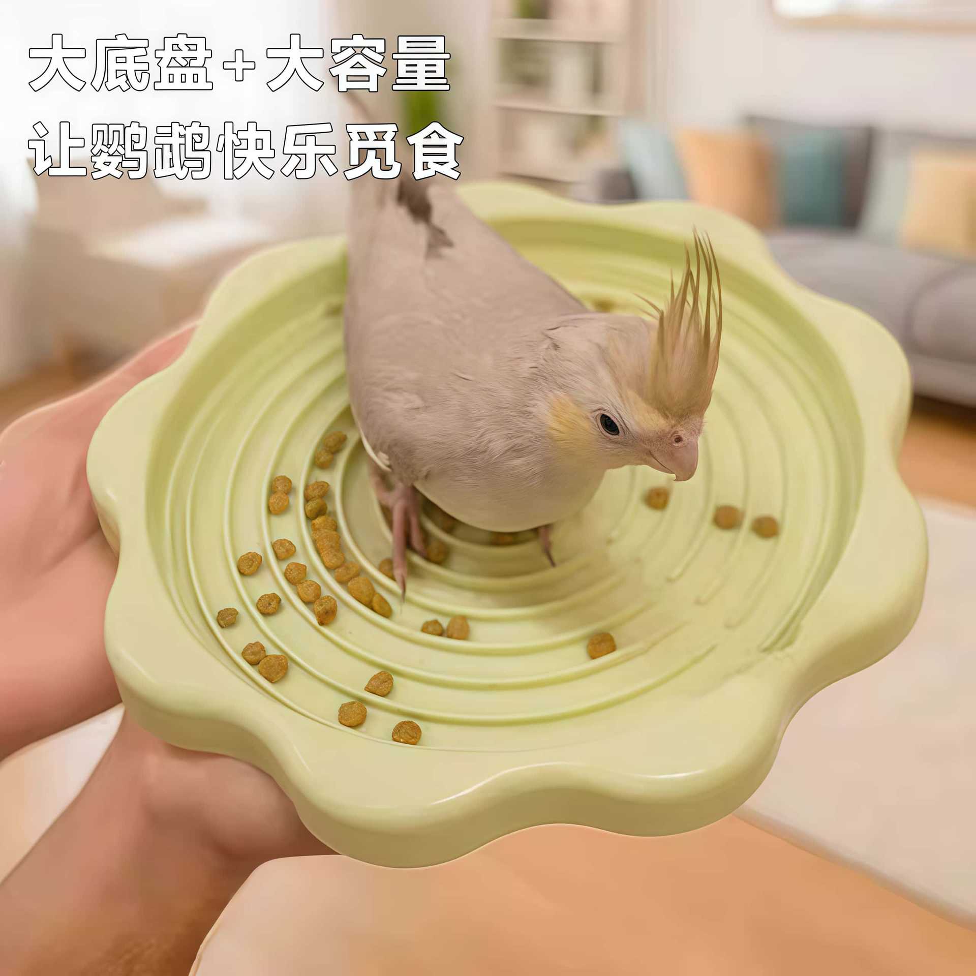 食槽鹦鹉鸟自嗨创意花朵慢食盘大图片