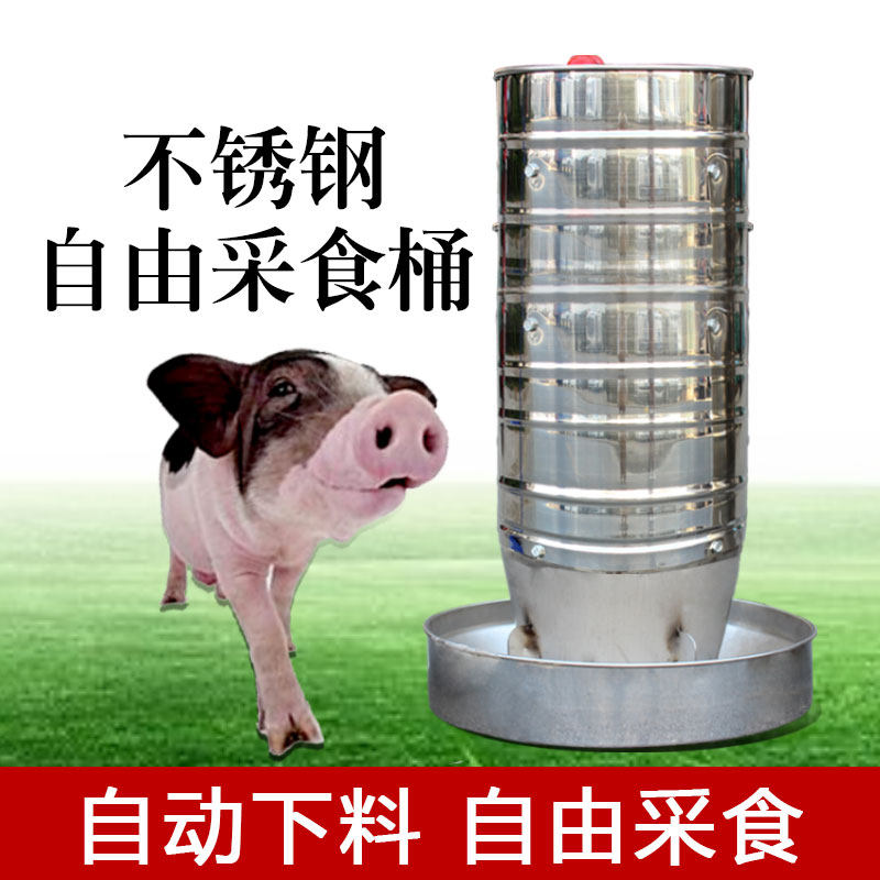 猪用自由采食槽 自动下料食槽不锈钢圆桶料槽小猪保育料槽 肥猪槽