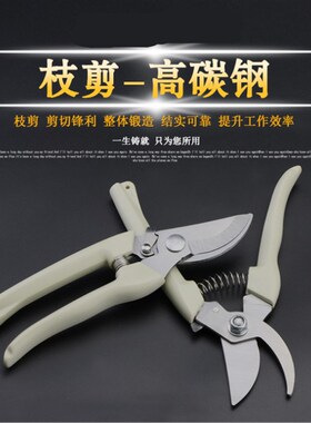 修剪树枝剪刀园林园艺工具多功能家用粗枝果树省力植物修花枝剪