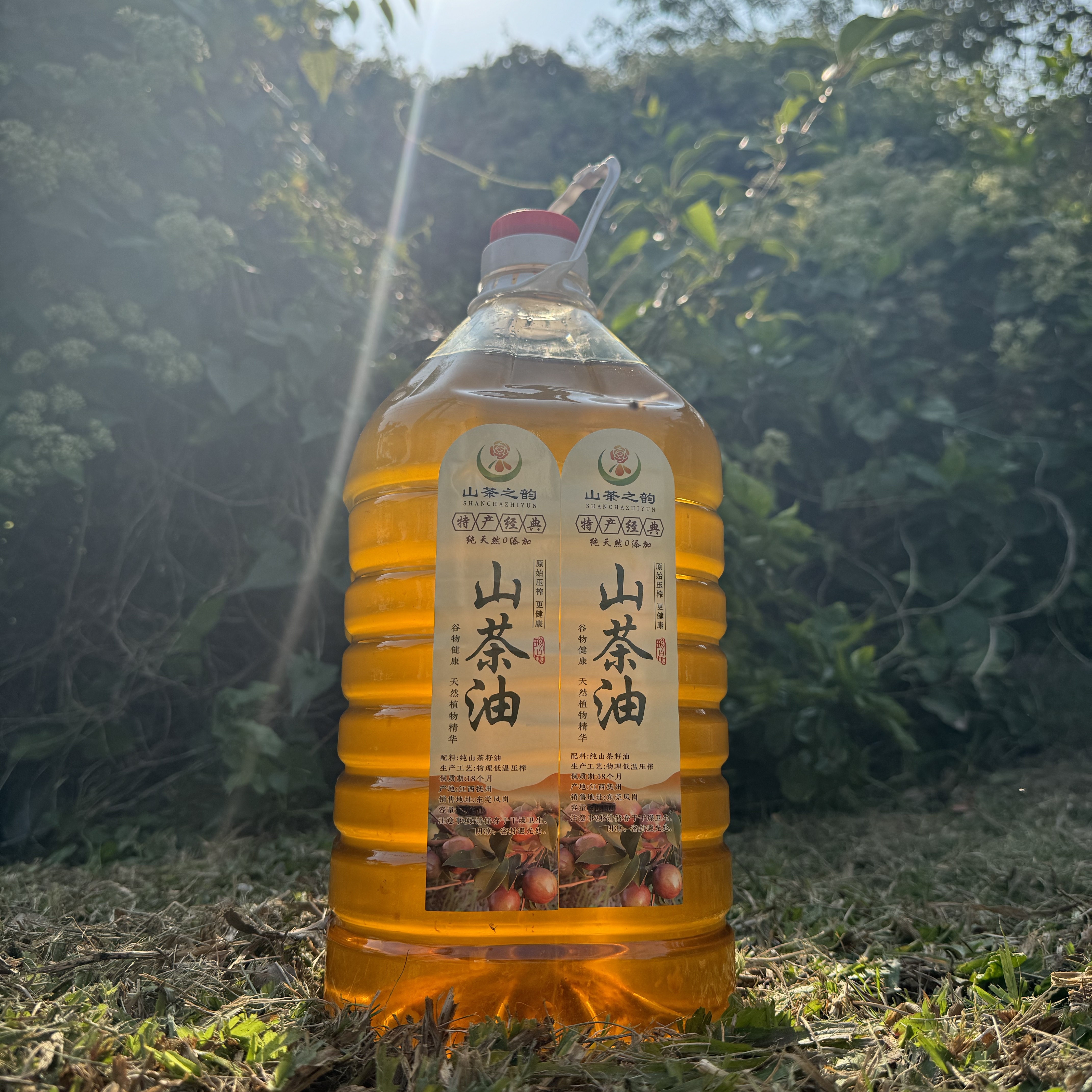 5L农家纯正高山老树小籽山茶油
