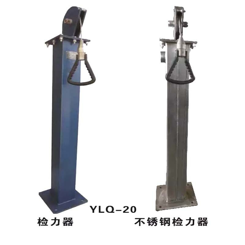 YSJ-20语音数显检力器山东厂家 碳钢数显检力器