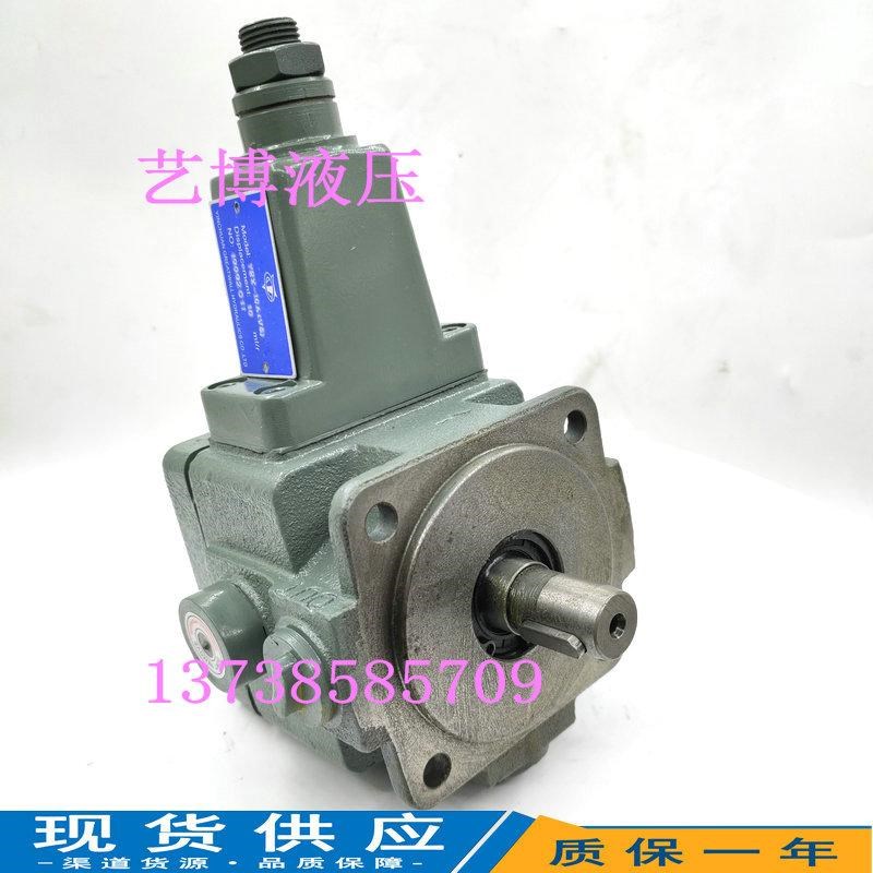 叶片泵YBX-10AV3 20V3 30 40 VUP-16 VPC-20 YBN1 YB1变量叶片泵
