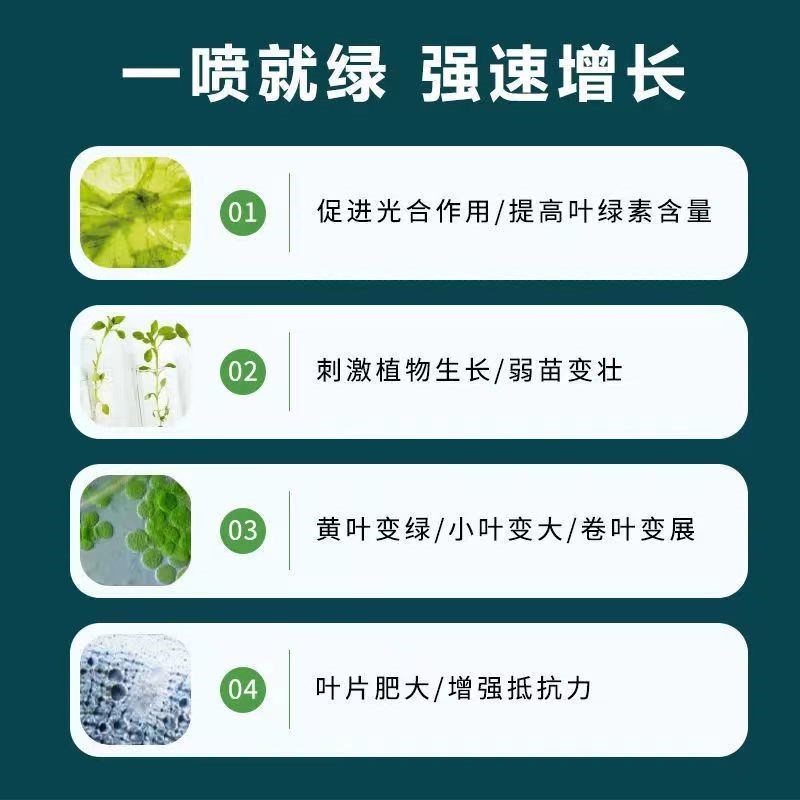 死树生根剂大小果树移栽种植快速生根药水复活液枯树再生壮苗剂M