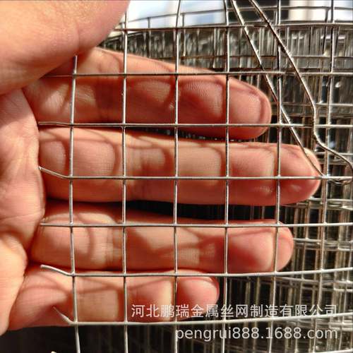 电焊网现货0.8mm*13mm孔镀锌电焊网热镀锌电焊网防裂铁丝网