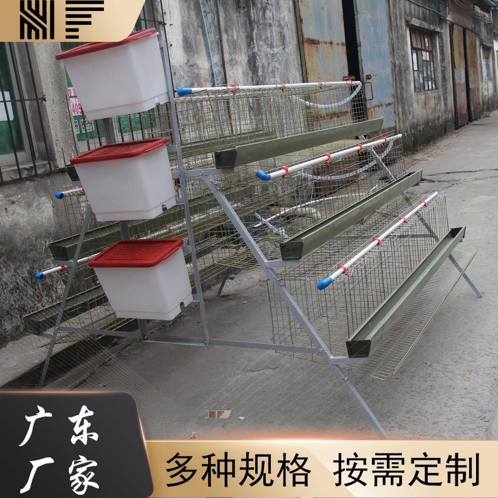 养殖铁丝网笼子厂家蛋鸡笼子阶梯式镀锌出口非洲质量的养鸡笼