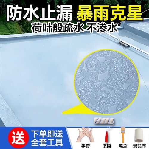 屋顶防水补漏涂料楼顶房顶堵漏王外墙裂缝渗水漏水材料防漏胶