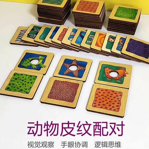 动物皮肤配对锻炼观察力专注力