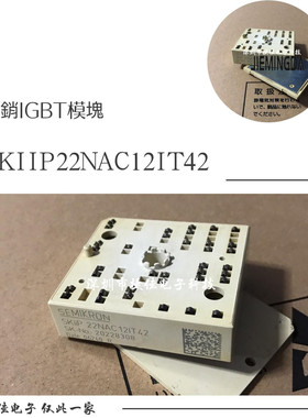SKIIP22NAC12IT42 SKIIP22NAB12T45 SKKIP23NAB126V1 24NAB126V1
