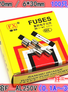 F6A F6.3A F7A F8A F10A F12A F15A F20A F25A F30AL250V保险丝管