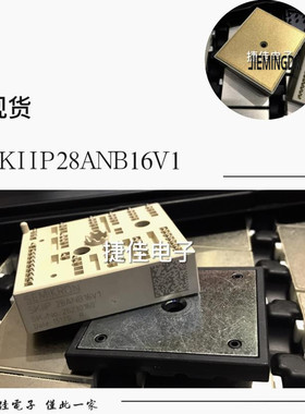 SKIIP28ANB16V2 SKIIP28ANB16V1 25AC125V25 24NAB126V10 23NAB