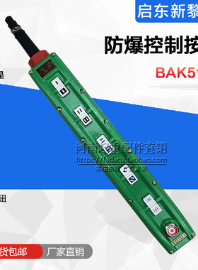 BAK51防爆控制按钮开关 行吊/航吊/起重机/天车/行车防爆操作手柄